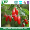 2015 Continued hot iqf goji berries for sale